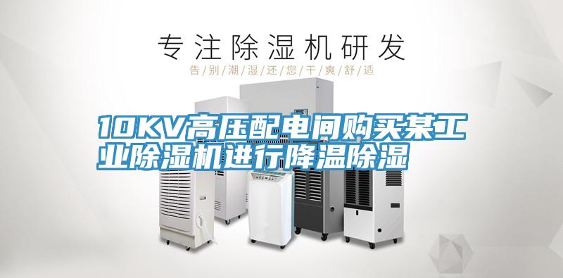10KV高壓配電間購買某工業PICACG哔咔官网入口進行降溫除濕