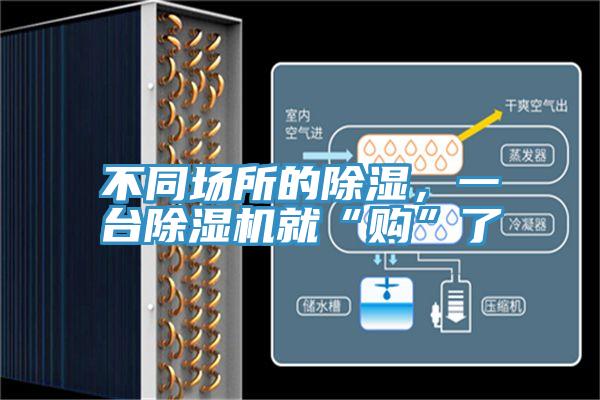 不同場所的除濕，一台PICACG哔咔官网入口就“購”了