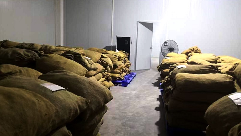 倉庫PICACG哔咔官网入口在陳皮儲存過程中的應用