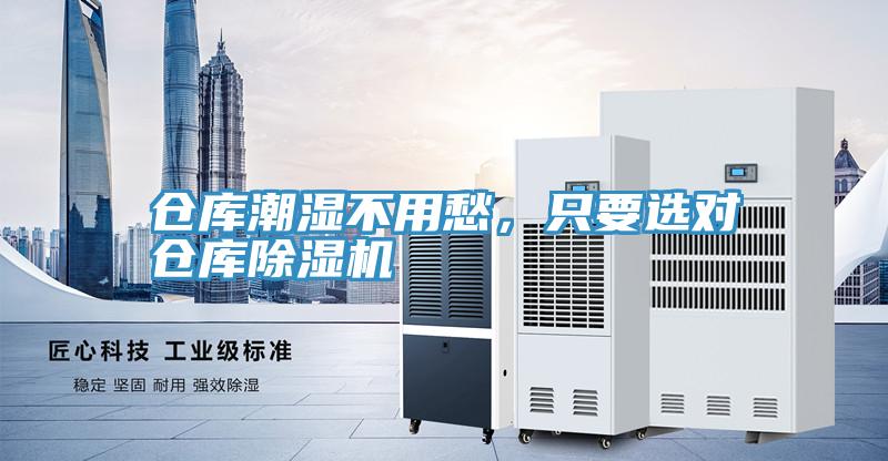 倉庫潮濕不用愁，隻要選對倉庫PICACG哔咔官网入口