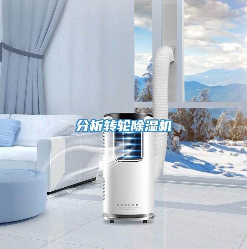 分析轉輪PICACG哔咔官网入口