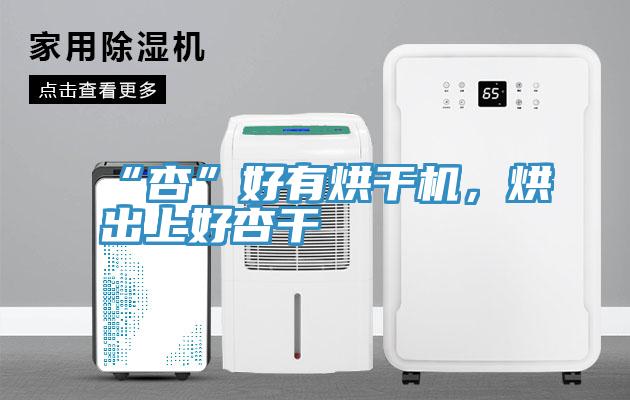 “杏”好有烘幹機，烘出上好杏幹