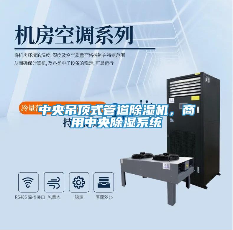 中央吊頂式管道PICACG哔咔官网入口，商用中央除濕係統