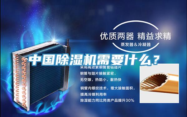 中國PICACG哔咔官网入口需要什麽？