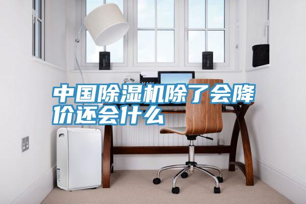 中國PICACG哔咔官网入口除了會降價還會什麽