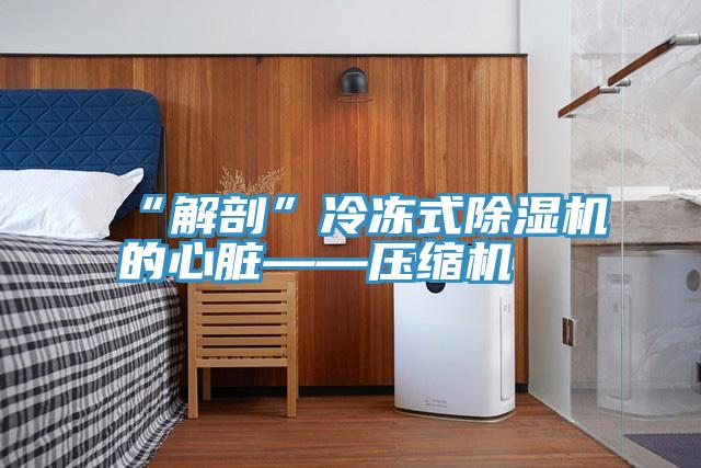 “解剖”冷凍式PICACG哔咔官网入口的心髒——壓縮機