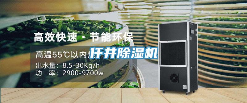 仟井PICACG哔咔官网入口