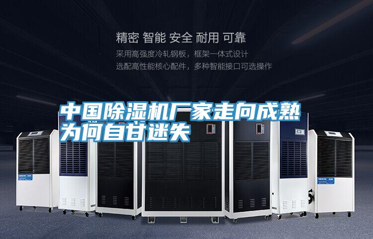 中國PICACG哔咔官网入口廠家走向成熟 為何自甘迷失