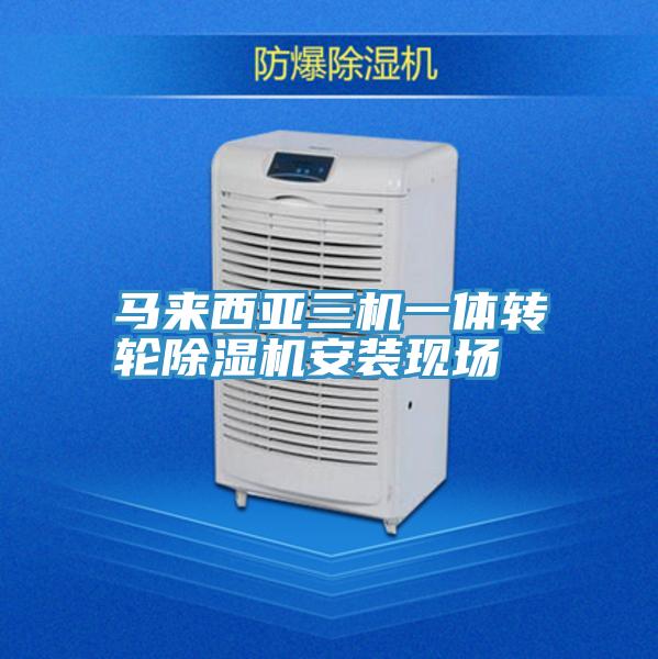 馬來西亞三機一體轉輪PICACG哔咔官网入口安裝現場