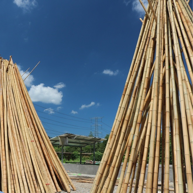 烘幹PICACG哔咔官网入口