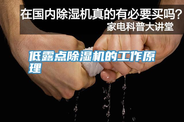 低露點PICACG哔咔官网入口的工作原理