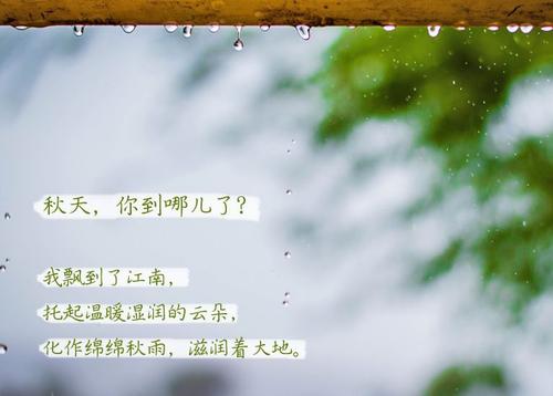 “無晴”陰雨天 “有晴”PICACG哔咔官网入口