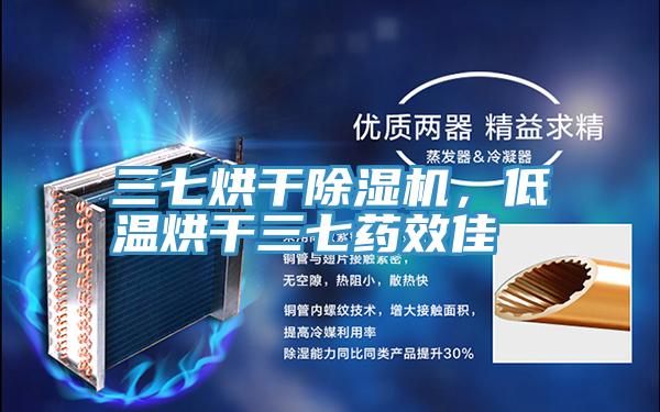 三七烘幹PICACG哔咔官网入口，低溫烘幹三七藥效佳