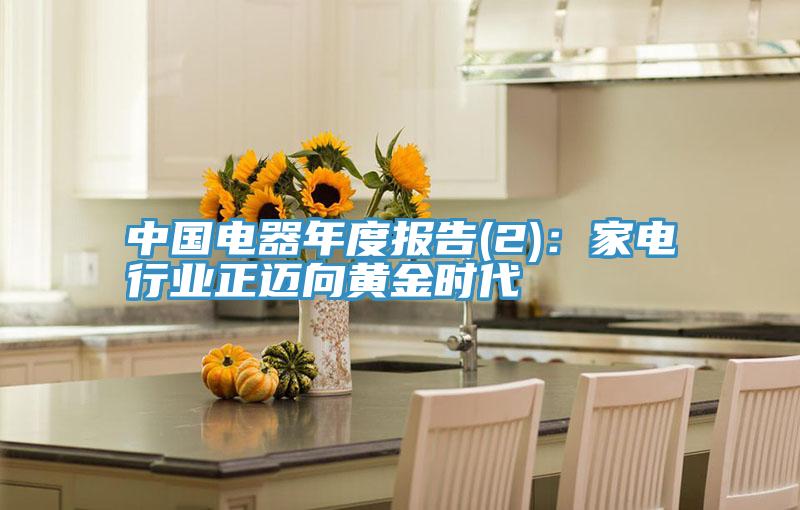 中國電器年度報告(2)：家電行業正邁向黃金時代