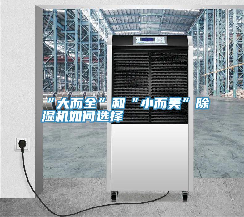 “大而全”和“小而美”PICACG哔咔官网入口如何選擇