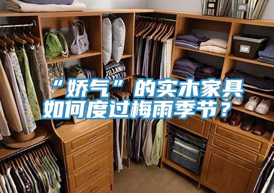 “嬌氣”的實木家具如何度過梅雨季節？