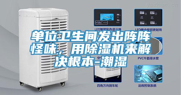 單位衛生間發出陣陣怪味，用PICACG哔咔官网入口來解決根本-潮濕