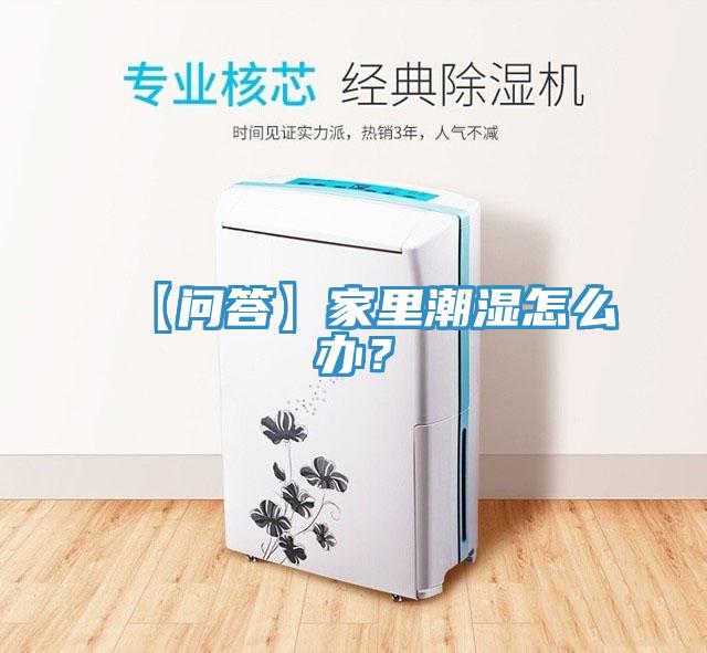 【問答】家裏潮濕怎麽辦？