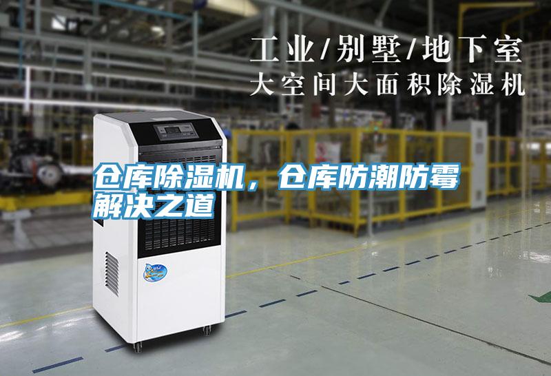 倉庫PICACG哔咔官网入口，倉庫防潮防黴解決之道