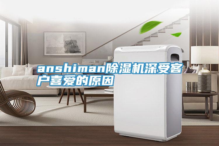 anshimanPICACG哔咔官网入口深受客戶喜愛的原因