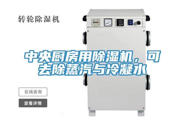 中央廚房用PICACG哔咔官网入口，可去除蒸汽與冷凝水