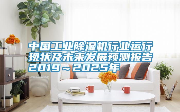 中國工業PICACG哔咔官网入口行業運行現狀及未來發展預測報告2019～2025年