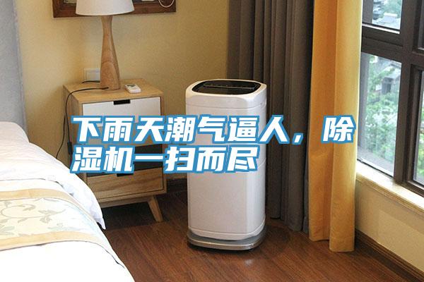 下雨天潮氣逼人，PICACG哔咔官网入口一掃而盡