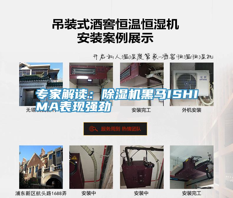 專家解讀：PICACG哔咔官网入口黑馬ISHIMA表現強勁