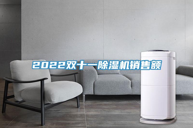 2022雙十一PICACG哔咔官网入口銷售額