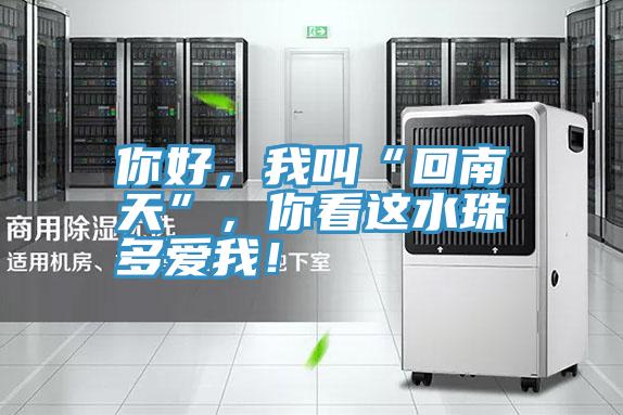 你好，我叫“回南天”，你看這水珠多愛我！