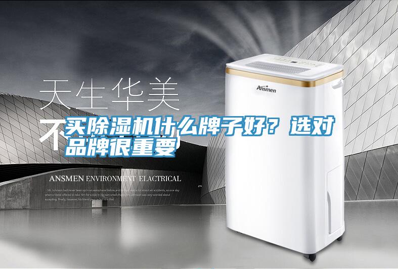 買PICACG哔咔官网入口什麽牌子好？選對品牌很重要