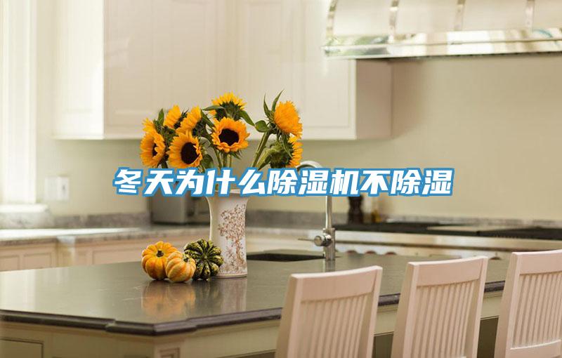 冬天為什麽PICACG哔咔官网入口不除濕