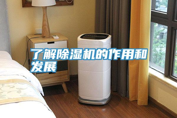 了解PICACG哔咔官网入口的作用和發展