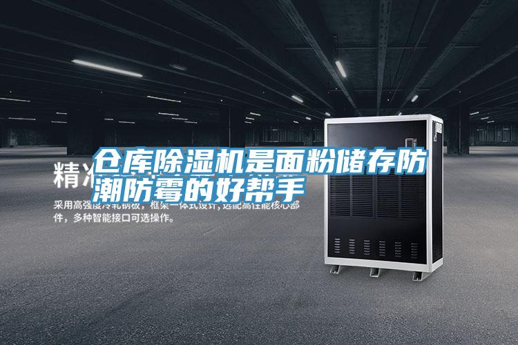 倉庫PICACG哔咔官网入口是麵粉儲存防潮防黴的好幫手