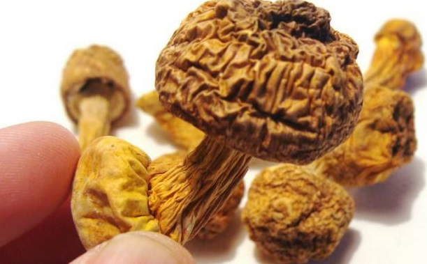 巴西菇、姬鬆茸烘幹機-怎樣烘幹色澤好且菇體褶片完整？