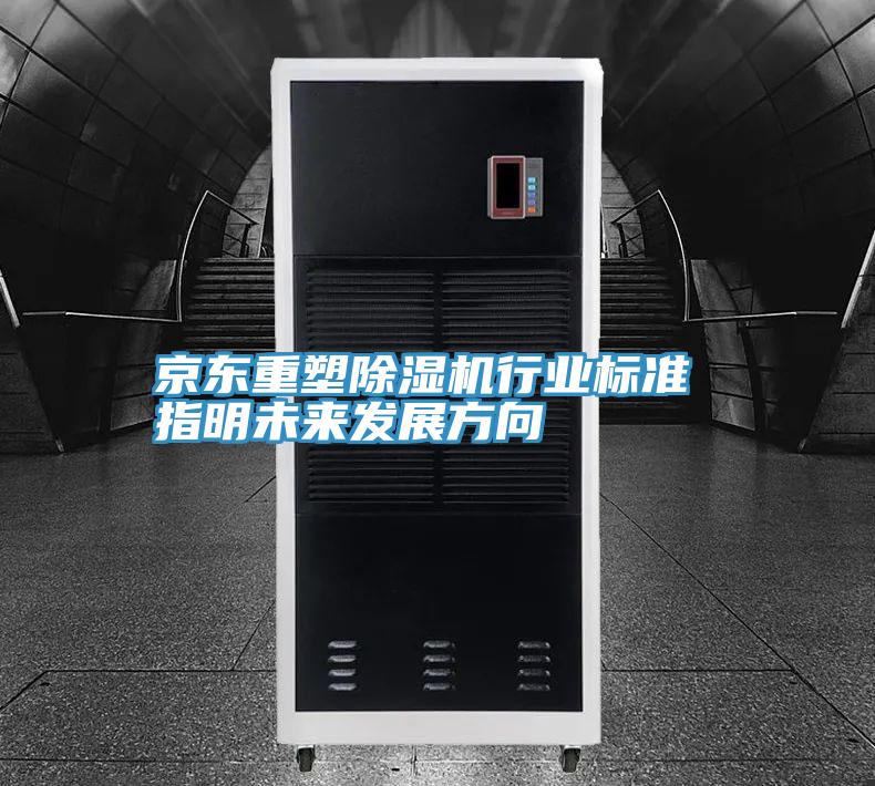 京東重塑PICACG哔咔官网入口行業標準 指明未來發展方向