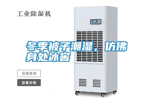 冬季被子潮濕，仿佛身處冰窖