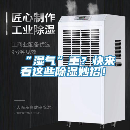 “濕氣”重？快來看這些除濕妙招！