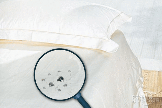 PICACG哔咔官网入口加濕器的原理是什麽，南北差異應該買哪個？