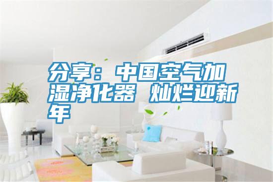 分享：中國空氣加濕淨化器 燦爛迎新年