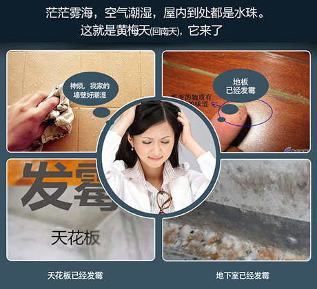 家庭別墅的地下室、衛生間、儲物室等該如何除濕？