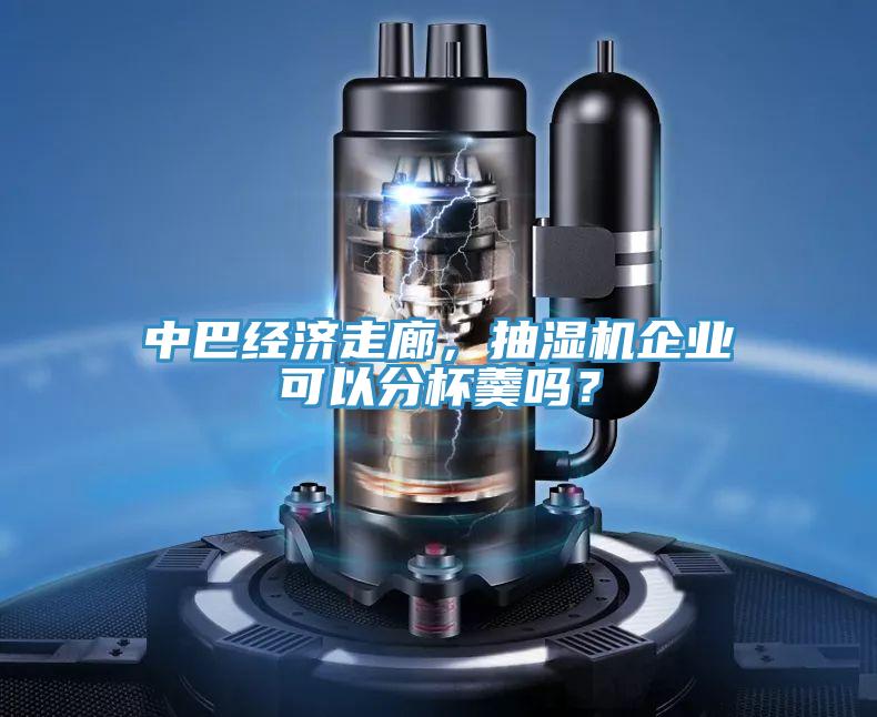 中巴經濟走廊，抽濕機企業可以分杯羹嗎？