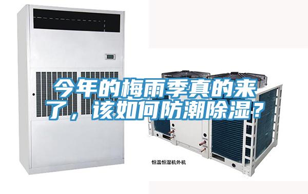 今年的梅雨季真的來了，該如何防潮除濕？