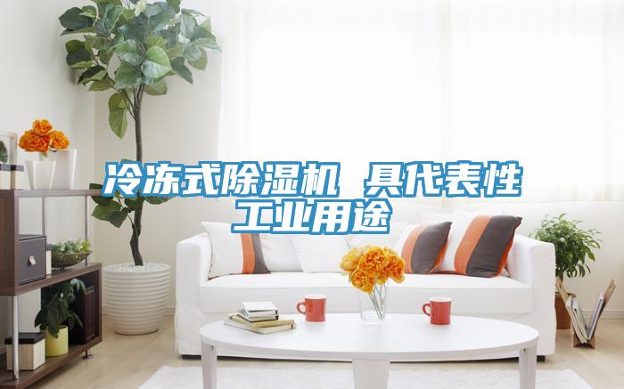 冷凍式PICACG哔咔官网入口 具代表性工業用途