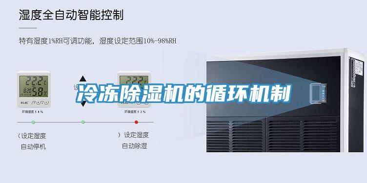 冷凍PICACG哔咔官网入口的循環機製