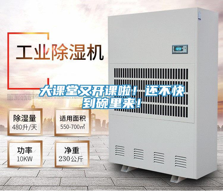 大課堂又開課啦！還不快到碗裏來！