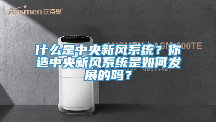 什麽是中央新風係統？你造中央新風係統是如何發展的嗎？