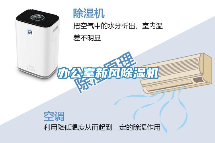 辦公室新風PICACG哔咔官网入口