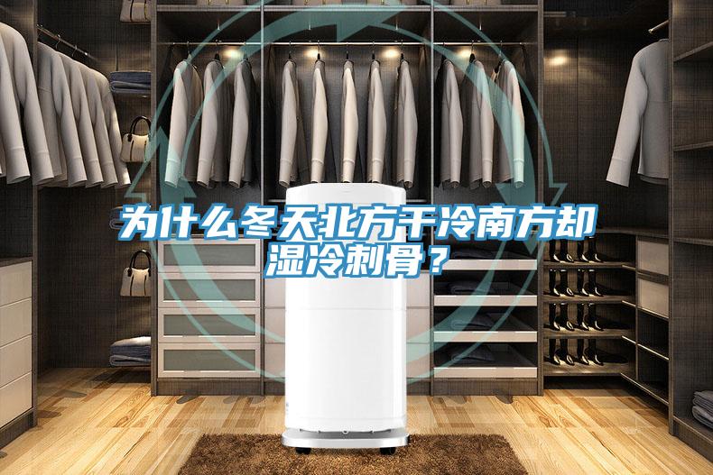 為什麽冬天北方幹冷南方卻濕冷刺骨？