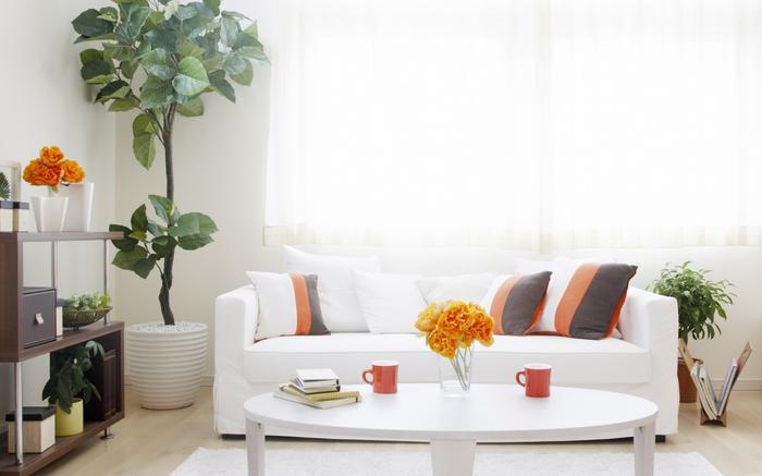 及早備好PICACG哔咔官网入口，不懼潮濕天來襲